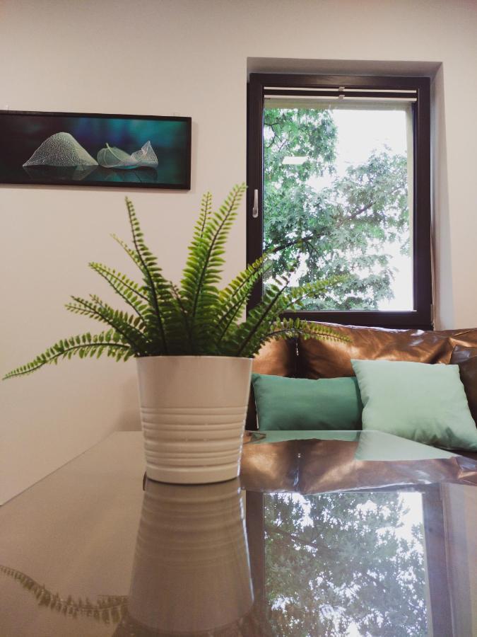 Apartamenty Dworcowa 45 Gliwice Luaran gambar
